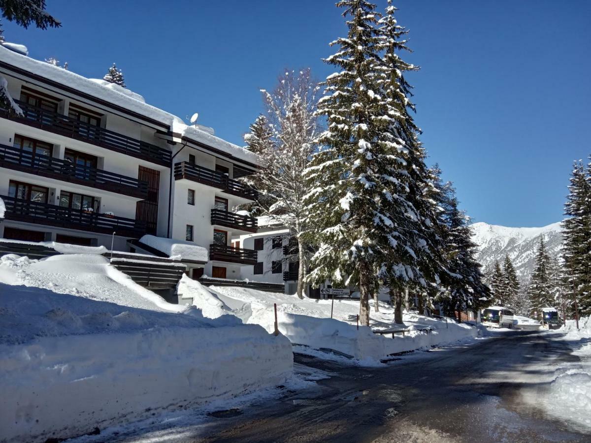 Casa Cinque Funghi A Folgarida Lägenhet Exteriör bild