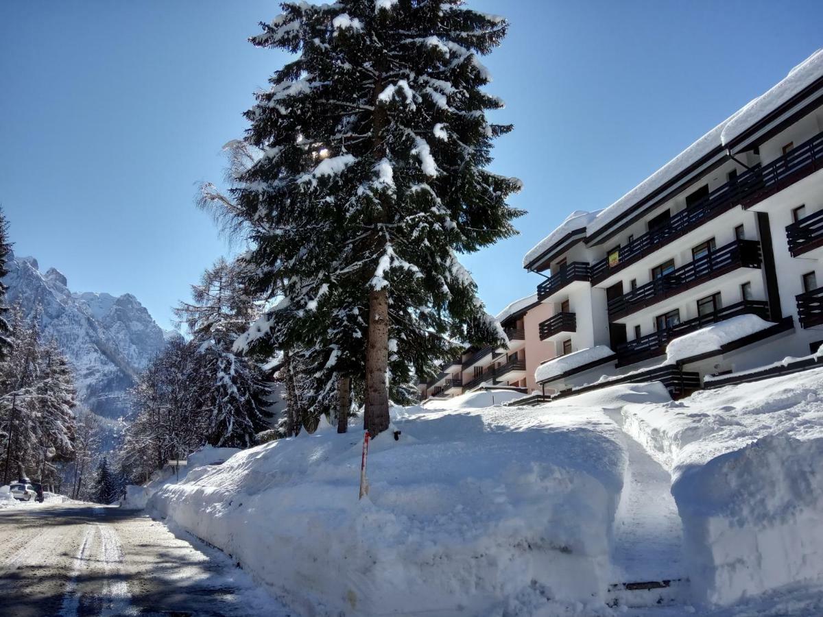Casa Cinque Funghi A Folgarida Lägenhet Exteriör bild