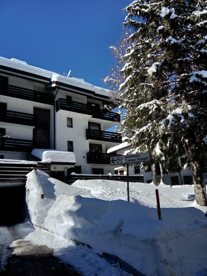 Casa Cinque Funghi A Folgarida Lägenhet Exteriör bild