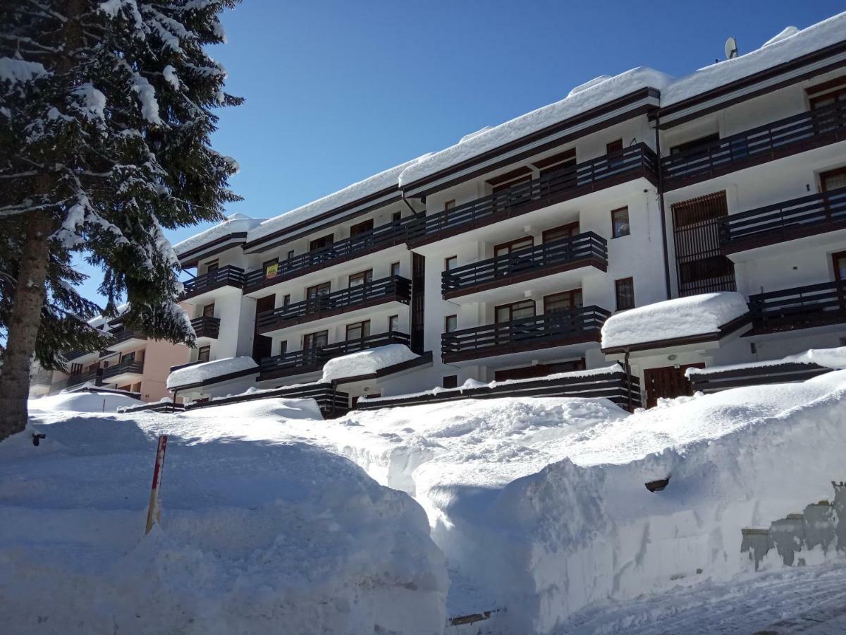Casa Cinque Funghi A Folgarida Lägenhet Exteriör bild